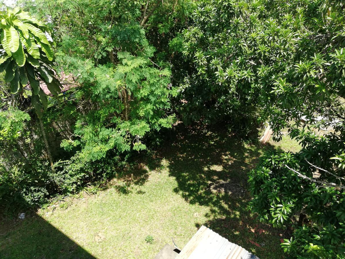 Cordillera Azul Tarapoto